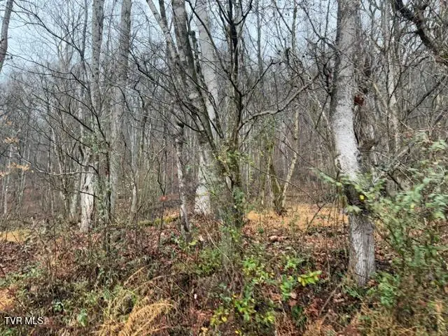 Tbd Fork River Road, Abingdon, VA 24210 - Image #3