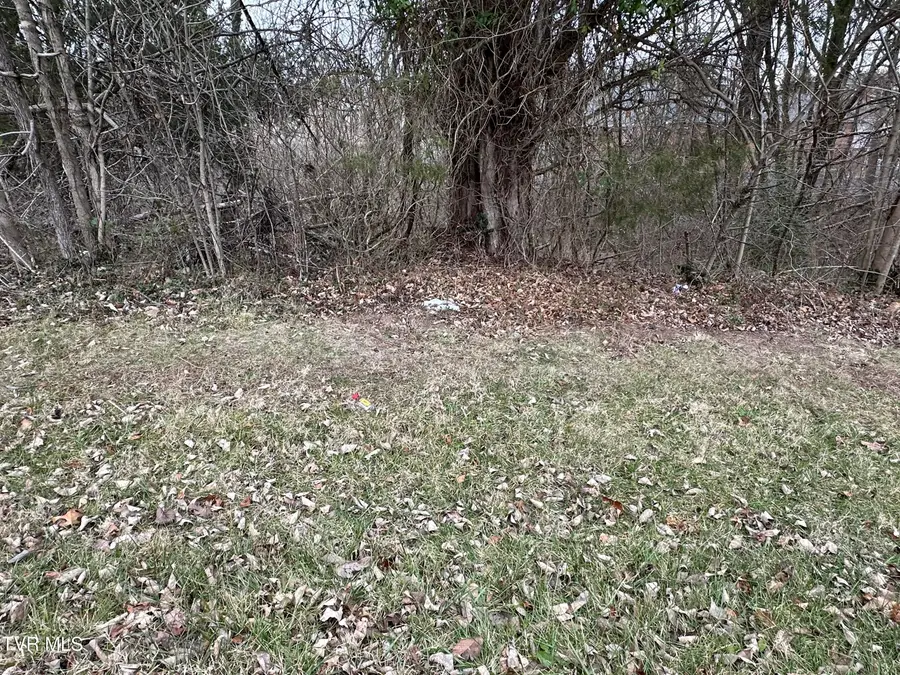 Tbd Lowrance Drive, Kingsport, TN 37660 - #2
