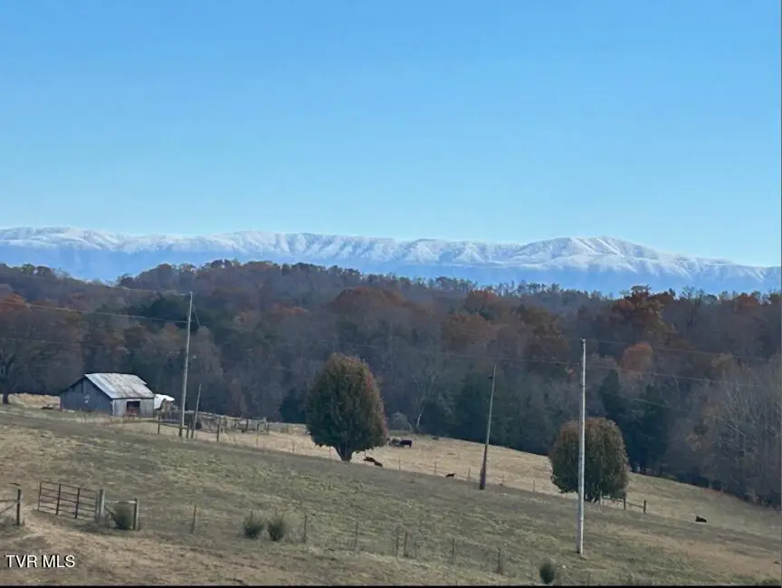 1160 Red Gate Road, Greeneville, TN 37743 - #3