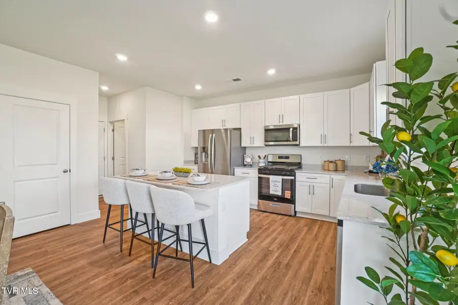 225 Artist Avenue, Johnson City, TN 37615 - Image #3