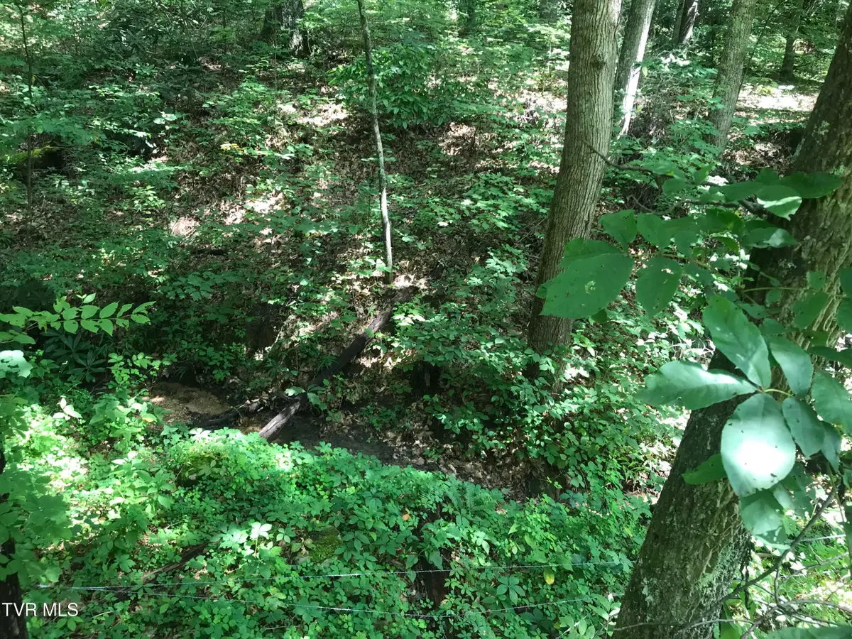 0000 Allen Lane Lane, Greeneville, TN 37743 - Image #1