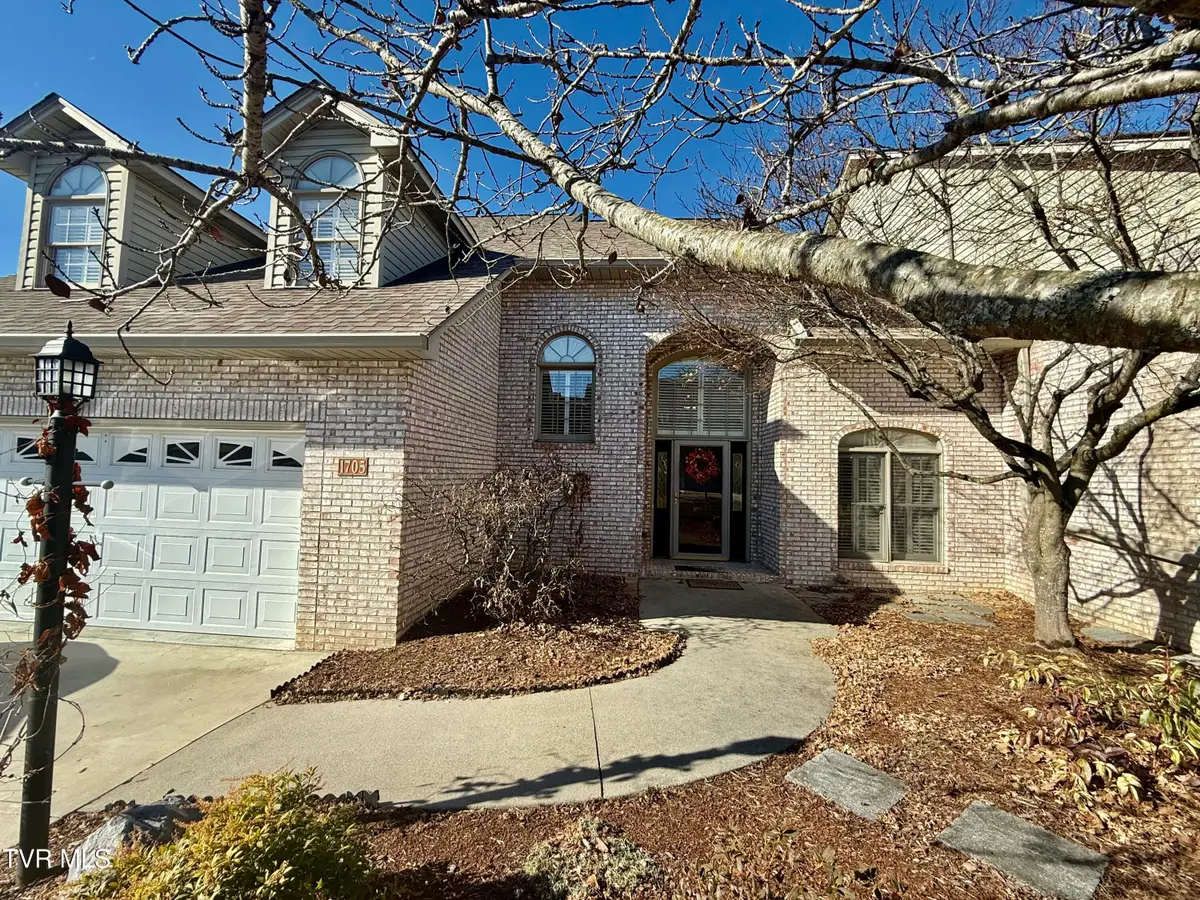 1705 Birchfield Pvt Ct Court #1705, Kingsport, TN 37660 - Image #1