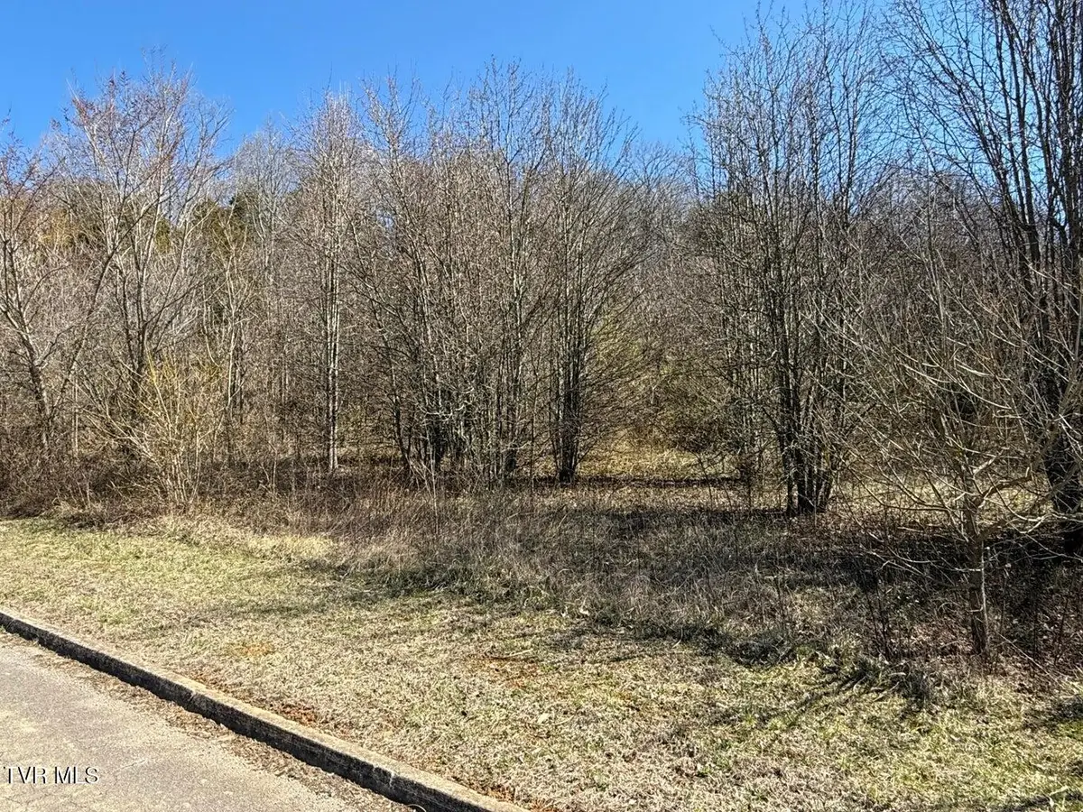 Lot 62 Secluded River Circle, Parrottsville, TN 37843 - #1