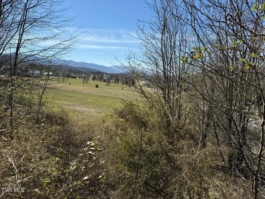 Lot 62 Secluded River Circle, Parrottsville, TN 37843 - #2