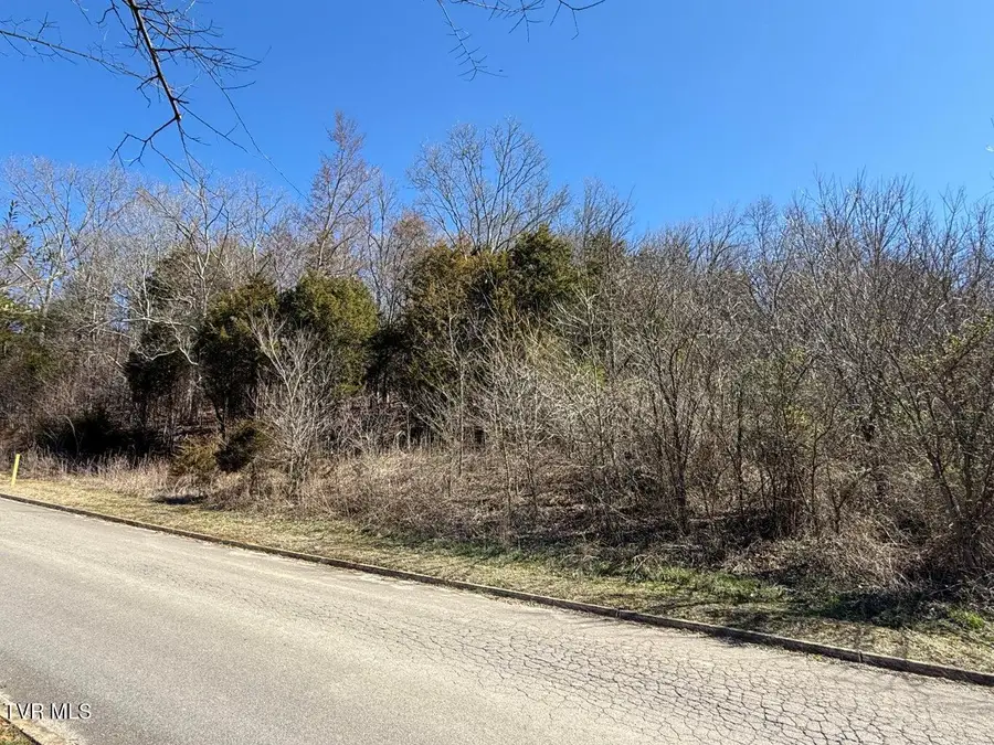 Lot 62 Secluded River Circle, Parrottsville, TN 37843 - #3