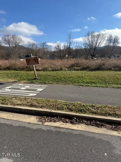 Tbd Old Fishery Road Road, Erwin, TN 37650 - Image #3