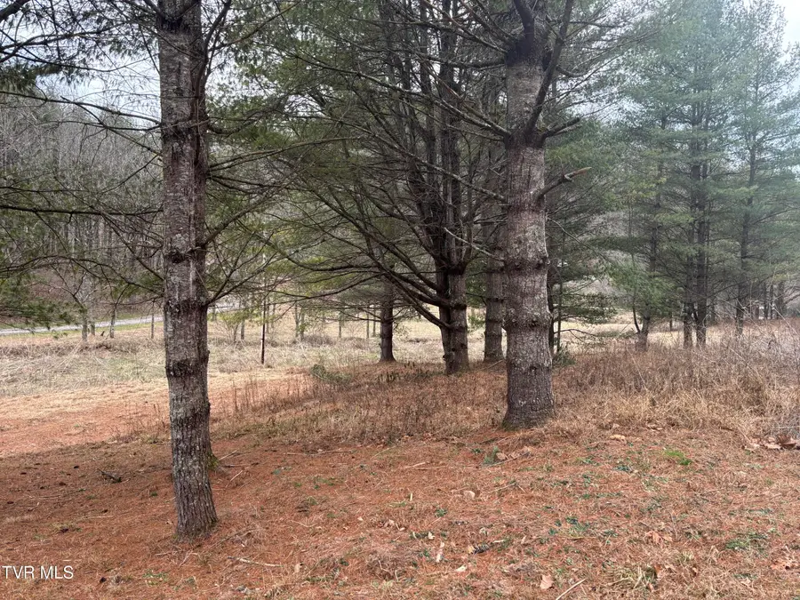 00 Greer Branch Road, Laurel Bloomery, TN 37680 - Image #3