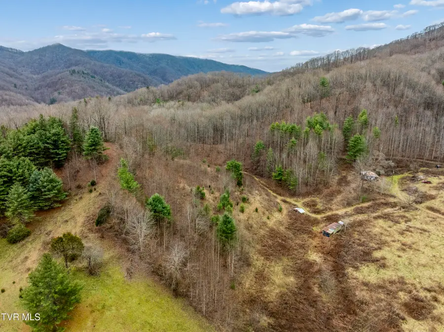Tbd Tipton Branch, Flag Pond, TN 37657 - Image #2
