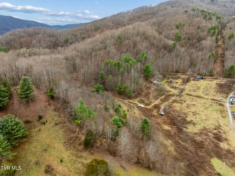 Tbd Tipton Branch, Flag Pond, TN 37657 - Image #3