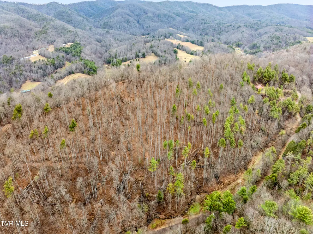 Tbd Stage Road, Mountain City, TN 37683 - Image #1