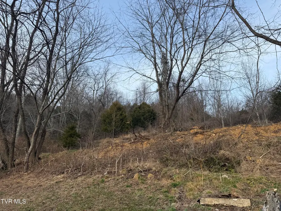 3005 Long Hollow Road, Cleveland, VA 24225 - Image #3