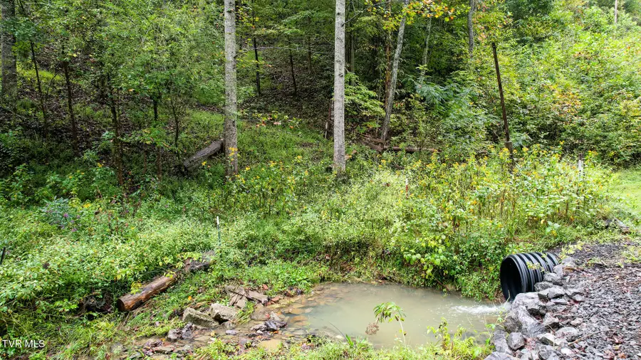 1515 Ned Clark Road, Bean Station, TN 37708 - Image #3