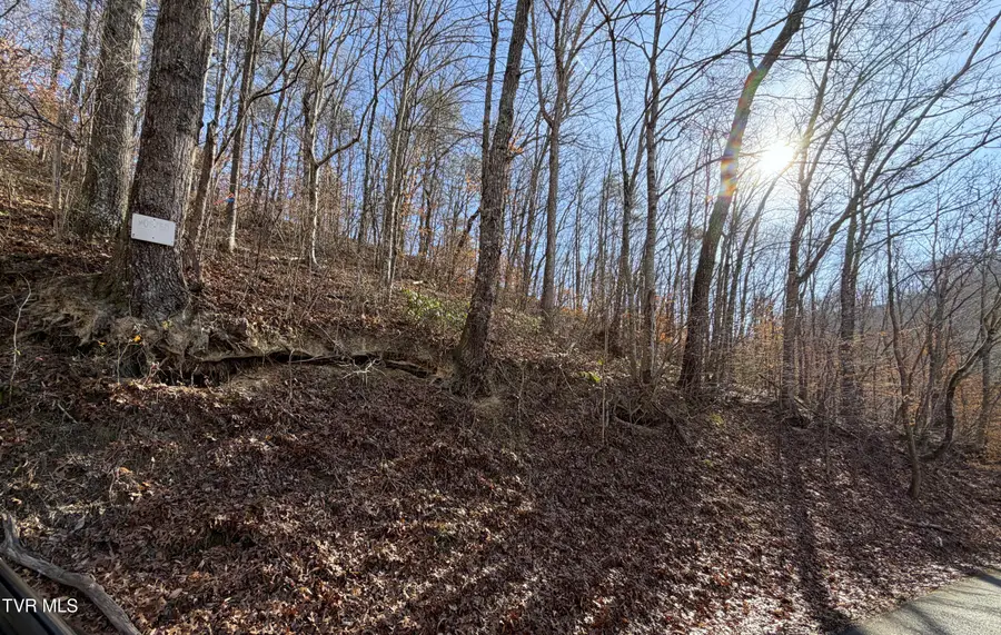 5.97 Avondale Hollow Road, Rutledge, TN 37861 - Image #2