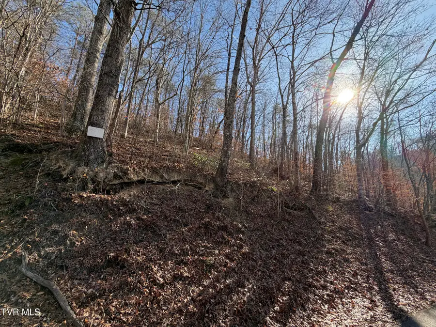 5.97 Avondale Hollow Road, Rutledge, TN 37861 - Image #3