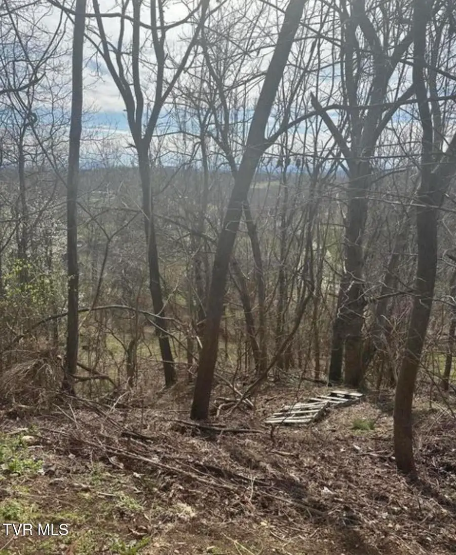 322 Bayberry Drive, Kingsport, TN 37663 - Image #2