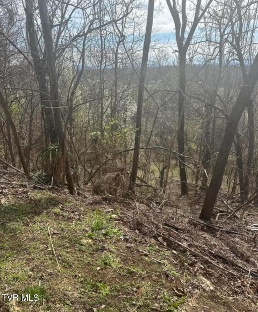 322 Bayberry Drive, Kingsport, TN 37663 - Image #3