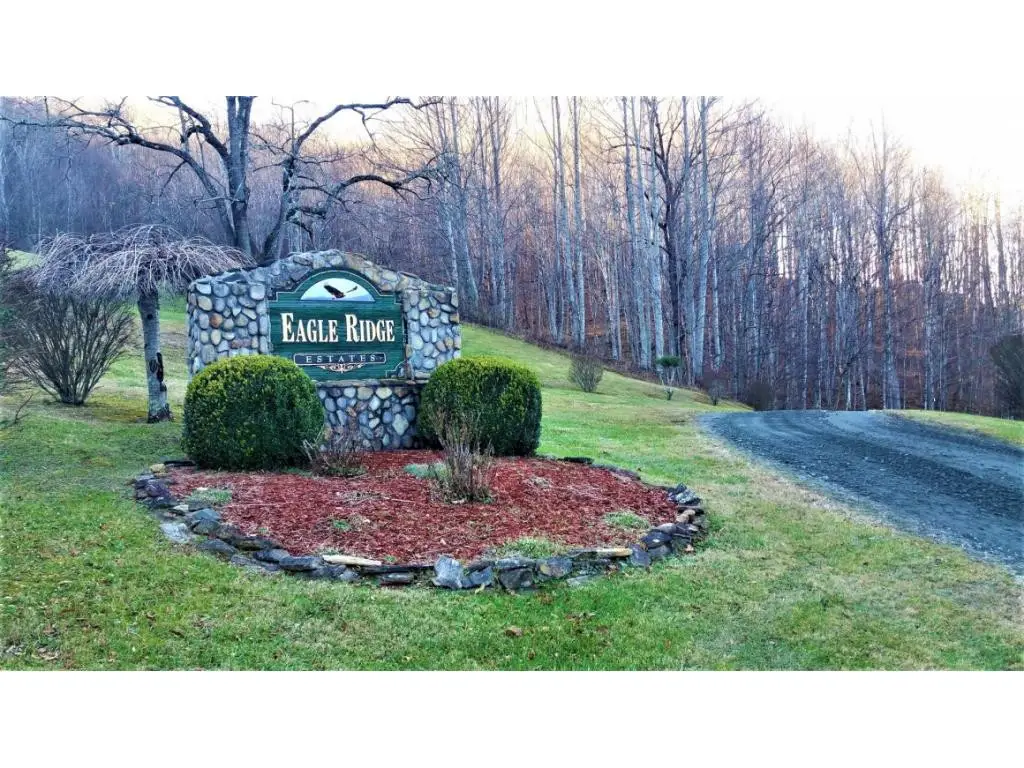 11 Roan Springs Lane, Roan Mountain, TN 37687 - Image #1