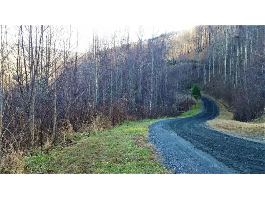 11 Roan Springs Lane, Roan Mountain, TN 37687 - Image #3