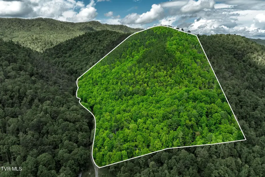 Tbd Fire Tower Road, Mountain City, TN 37683 - Image #2