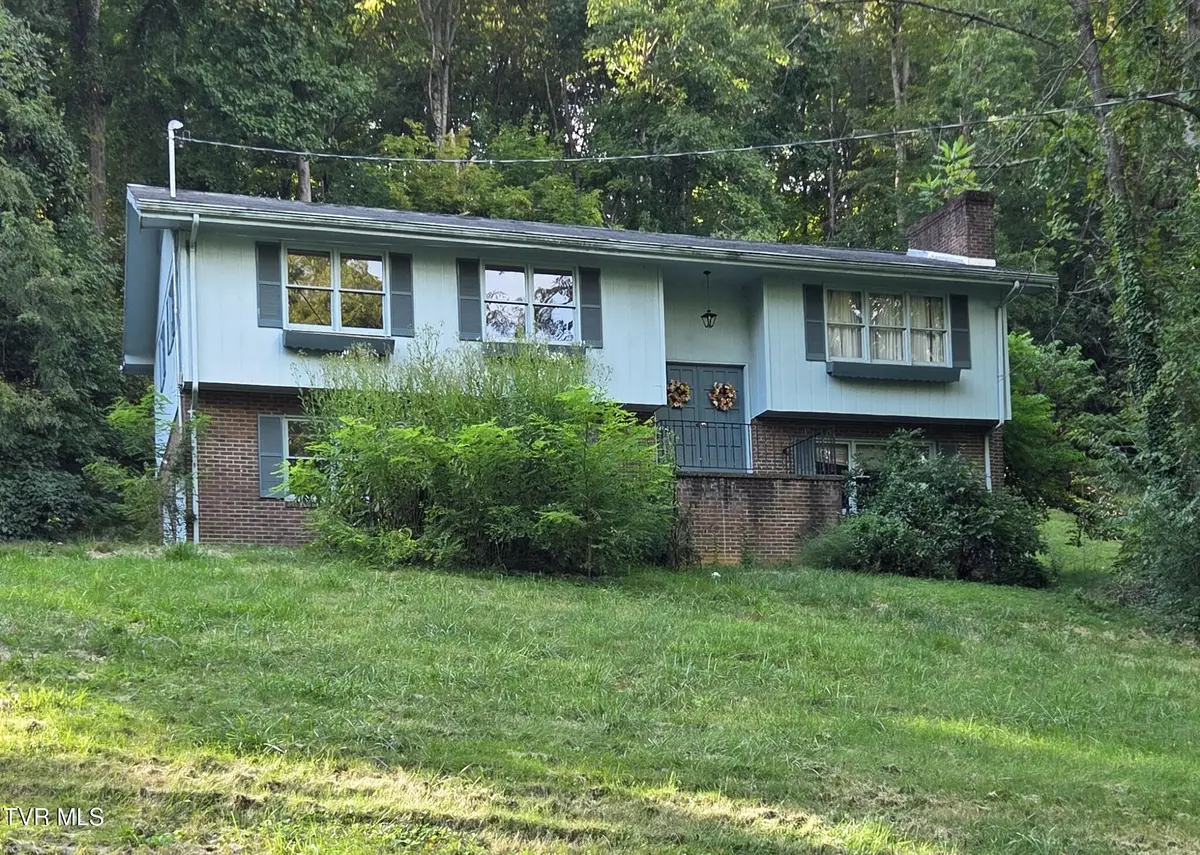 205 Tamassee Drive, Johnson City, TN 37601 - Image #1