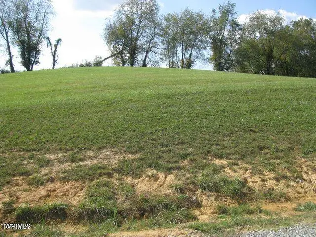 Lot 33 Vineyard Farms Parkway, Butler, TN 37640 - Image #1