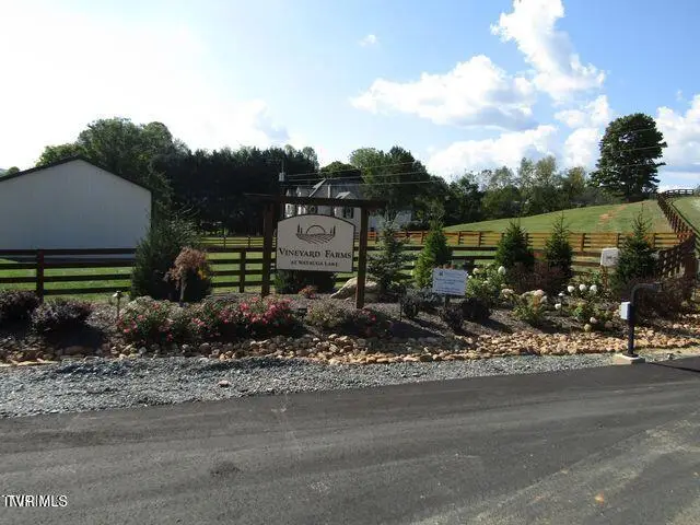 Lot 33 Vineyard Farms Parkway, Butler, TN 37640 - Image #3