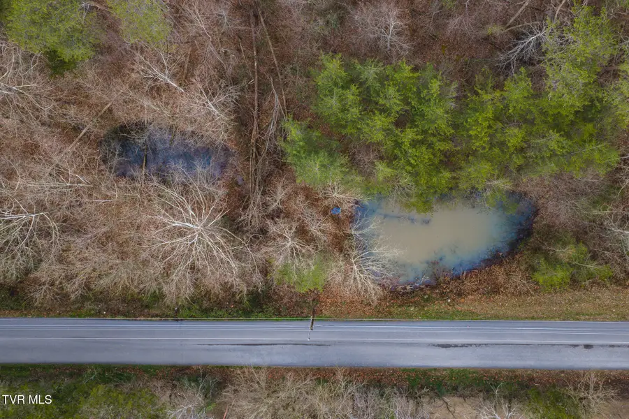 1655 Lester Whitt Road, Rutledge, TN 37861 - Image #3