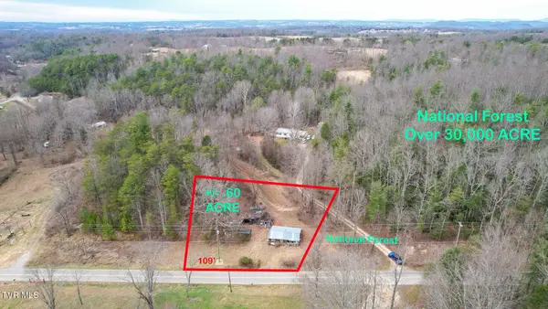 7105 Greystone Rd, Afton, TN 37616