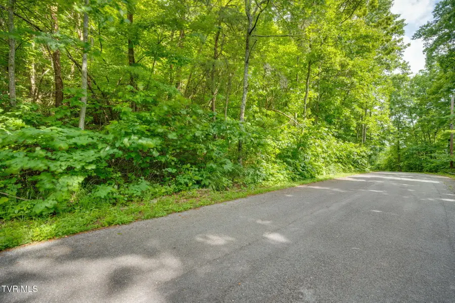 Lot 40 Ridgeheights Drive, Johnson City, TN 37615 - Image #2
