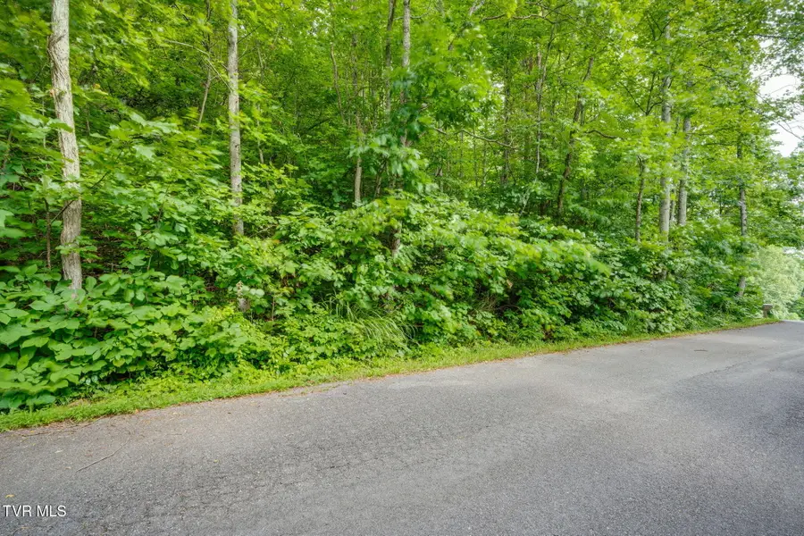 Lot 40 Ridgeheights Drive, Johnson City, TN 37615 - Image #3