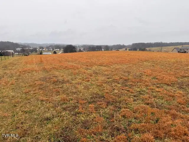 955 Leesburg Road, Jonesborough, TN 37659 - Image #1