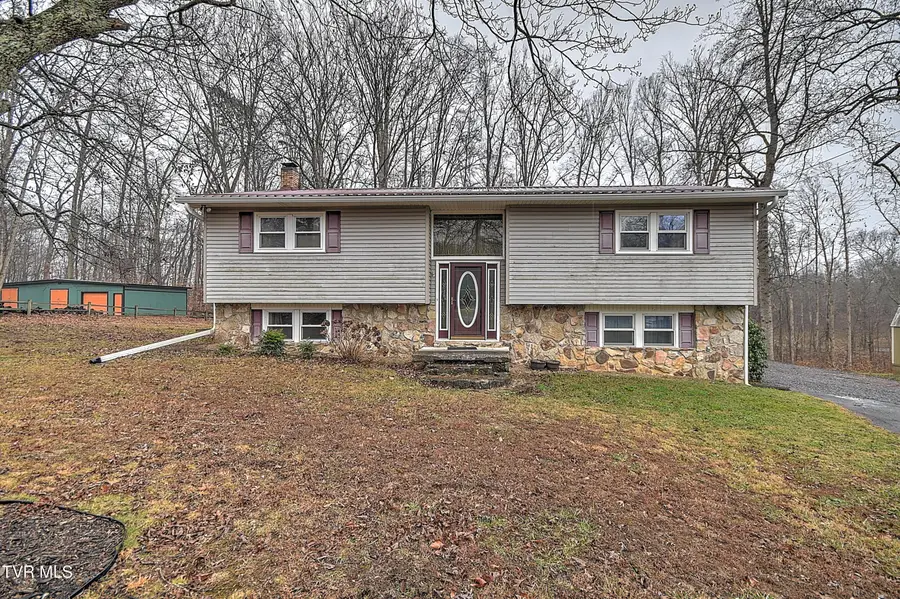 156 Reynolds Hills Drive, Rogersville, TN 37857 - Image #2