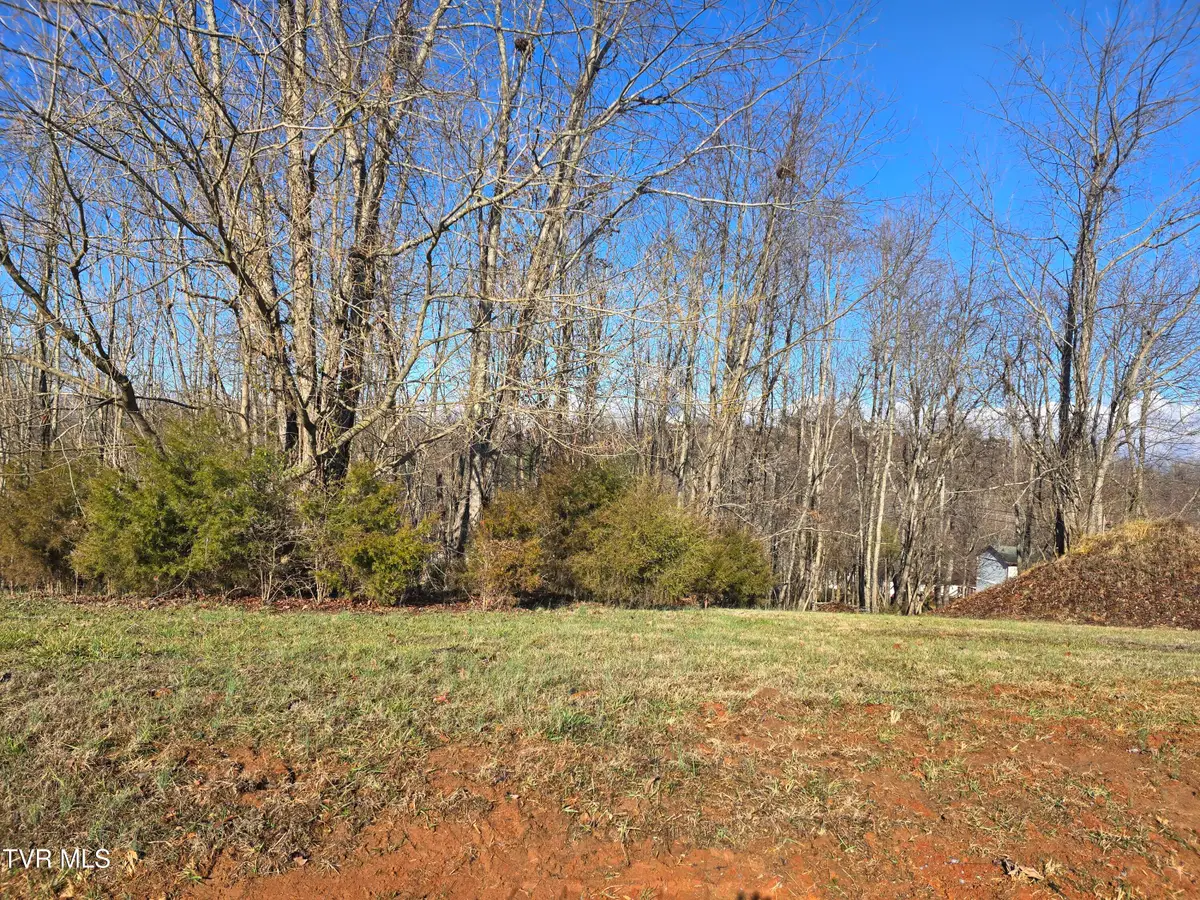 1124 Biltmore Place, Piney Flats, TN 37686 - #1