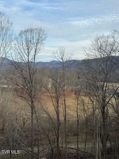 Tbd Mining Ridge Road, Mountain City, TN 37683