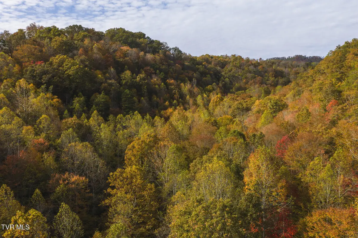 89 Acres Lynn Flanary Road, Blackwater, VA 24221 - Image #1