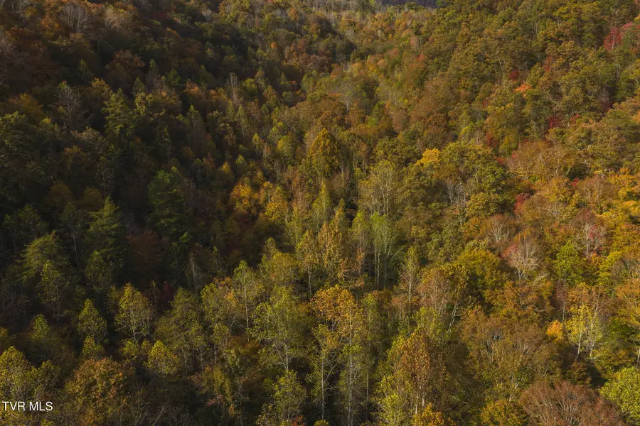 89 Acres Lynn Flanary Road, Blackwater, VA 24221 - Image #2