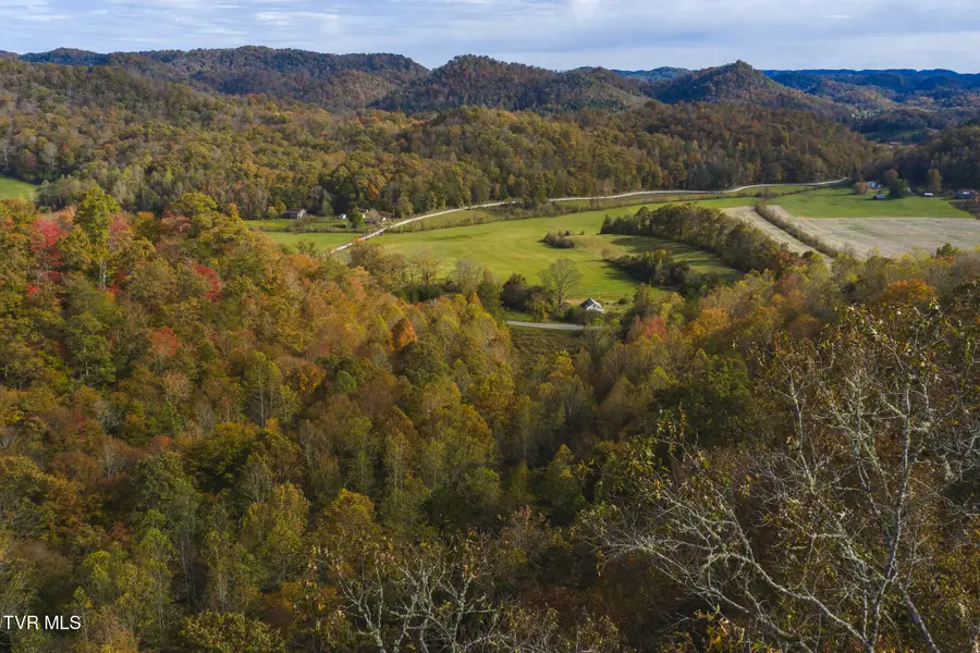 89 Acres Lynn Flanary Road, Blackwater, VA 24221 - Image #3