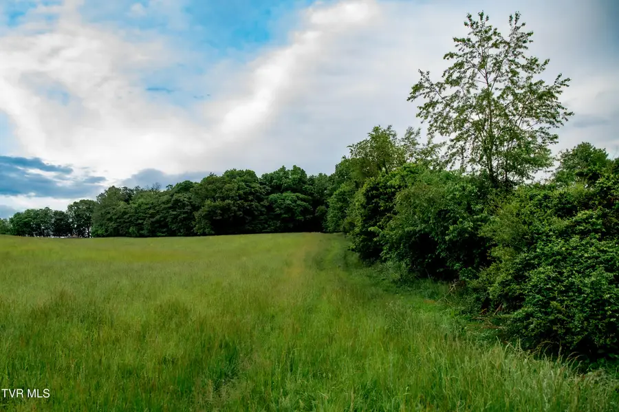 Tbd Old Hall Road Parcel's 3 & 4, Limestone, TN 37681 - Image #3