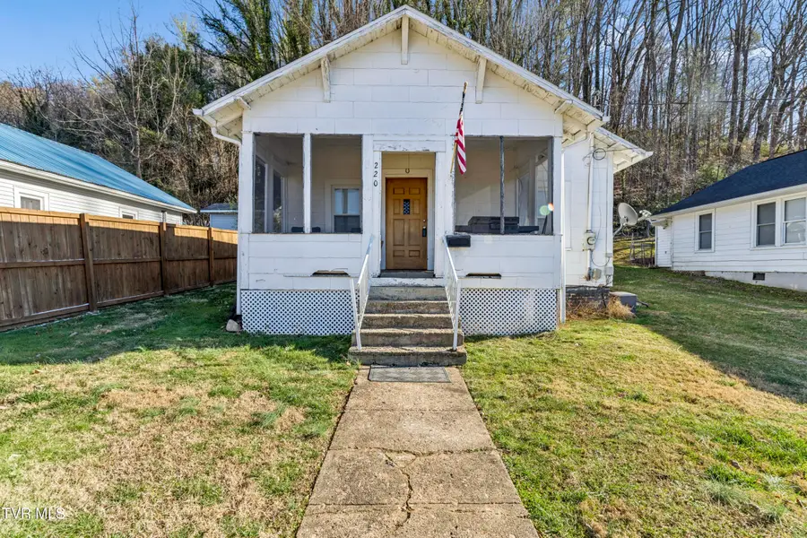 220 New Avenue, Erwin, TN 37650 - Image #2