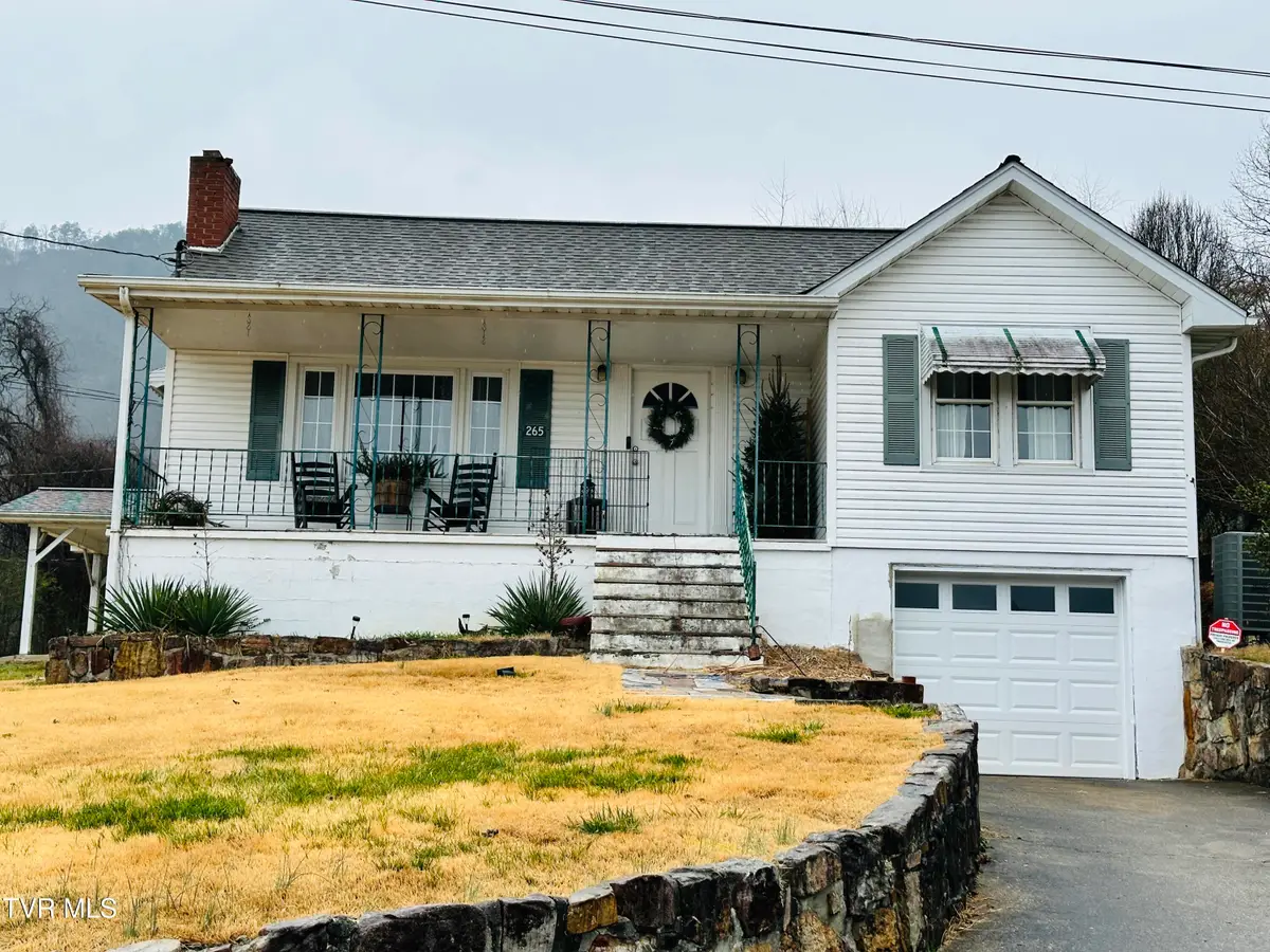 265 Wilmeth Street, Weber City, VA 24290 - Image #1