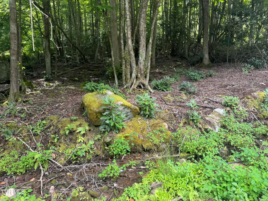 Tbd Stocton Road, Roan Mountain, TN 37687 - Image #2