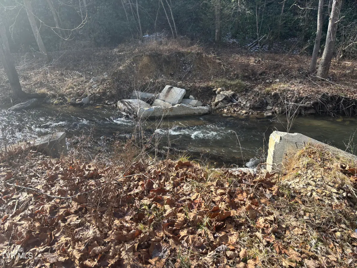 00 Highway 91 Highway, Laurel Bloomery, TN 37680 - Image #1