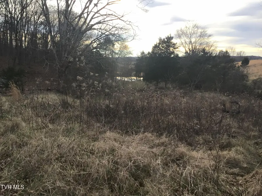 925 Collins Road, Greeneville, TN 37745 - Image #3