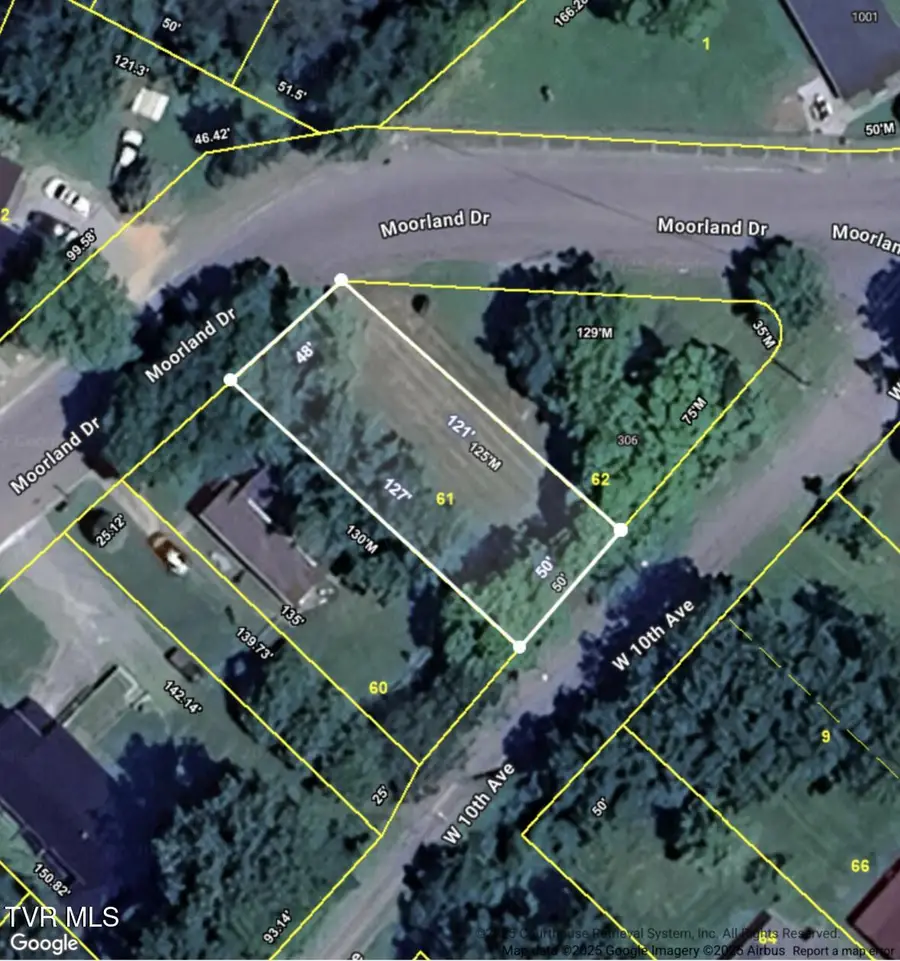 308 West 10th Avenue, Johnson City, TN 37604 - Image #2