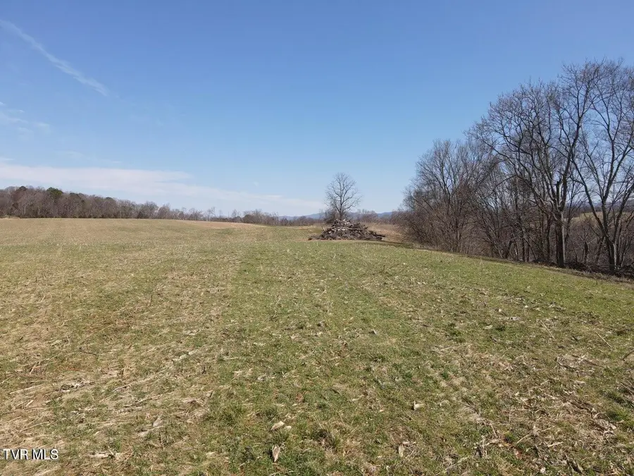 Tbd Lot 2 River Village Ln, Afton, TN 37616 - Image #3