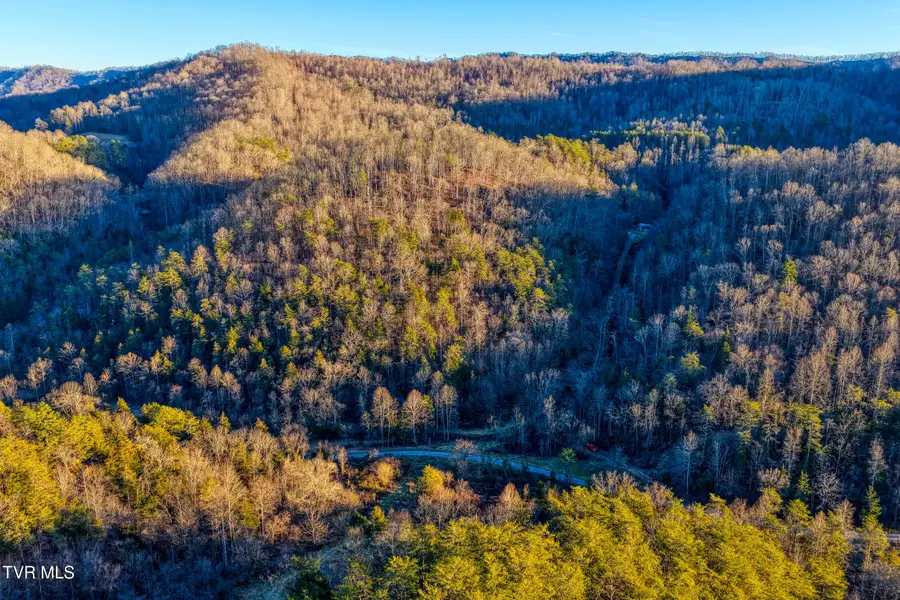 1028 East Pumpkin Valley Road, Eidson, TN 37731 - Image #3