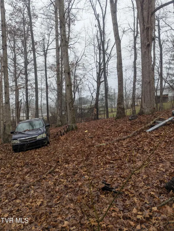 000 Off Ross Camp Ground Road, Church Hill, TN 37642