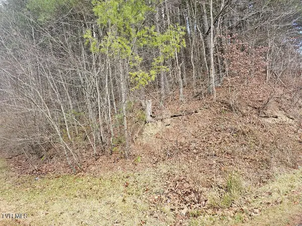 10402 Right Fork Road, Pound, VA 24279