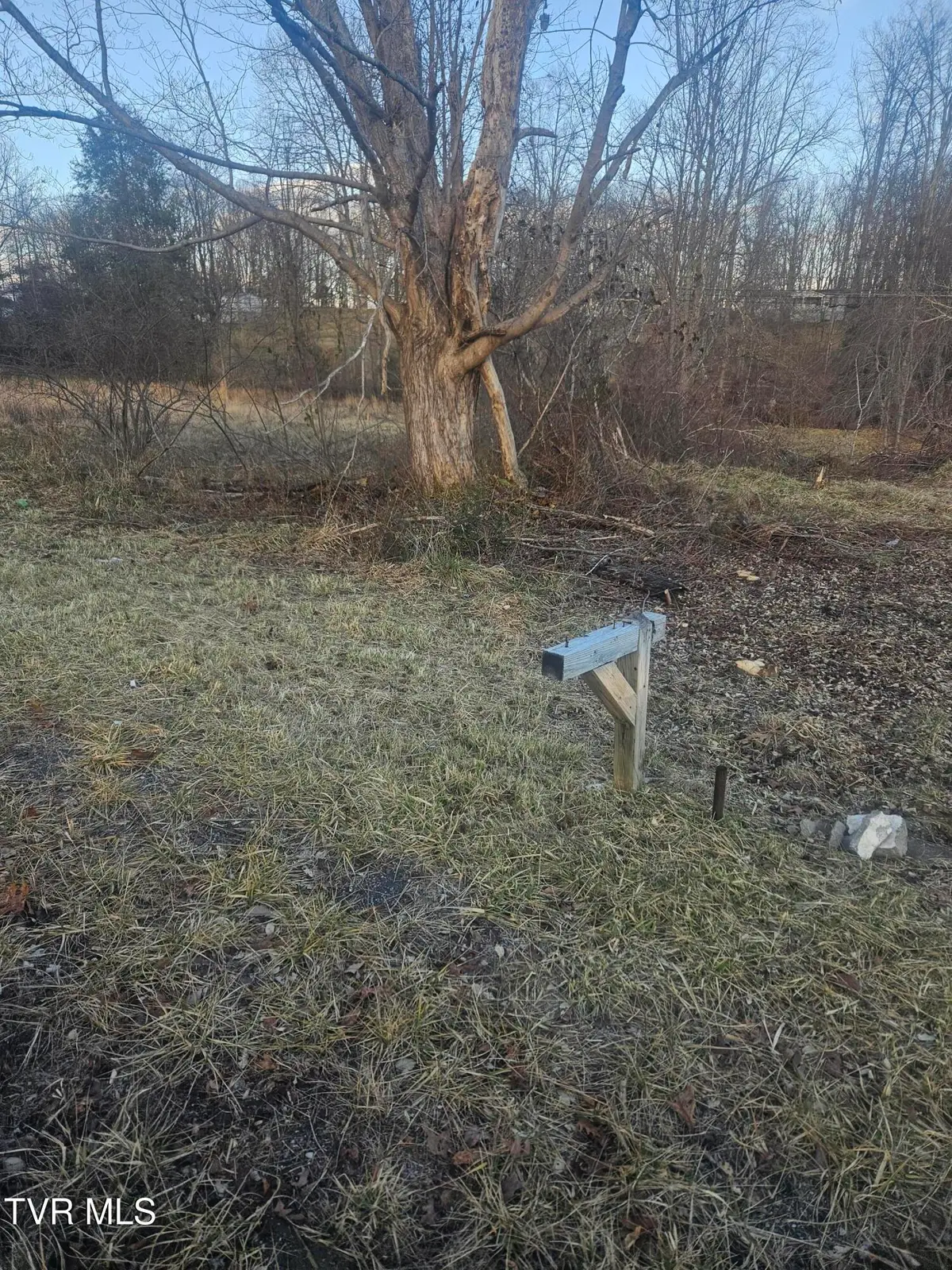 2556 Dungannon Road, Coeburn, VA 24230 - Image #1