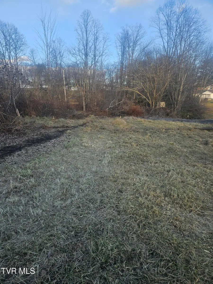 2556 Dungannon Road, Coeburn, VA 24230 - Image #3